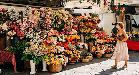 house covered with flowers