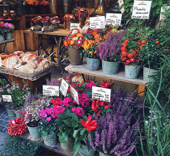 flower shop